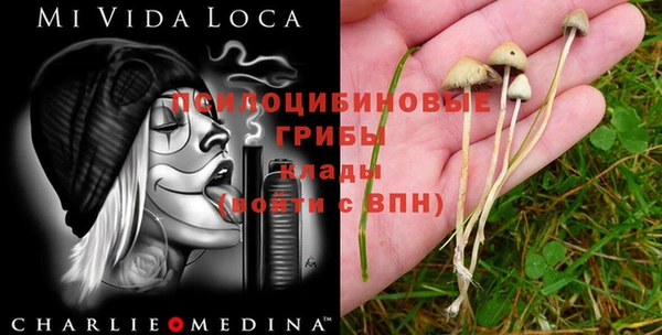 марки lsd Алексин